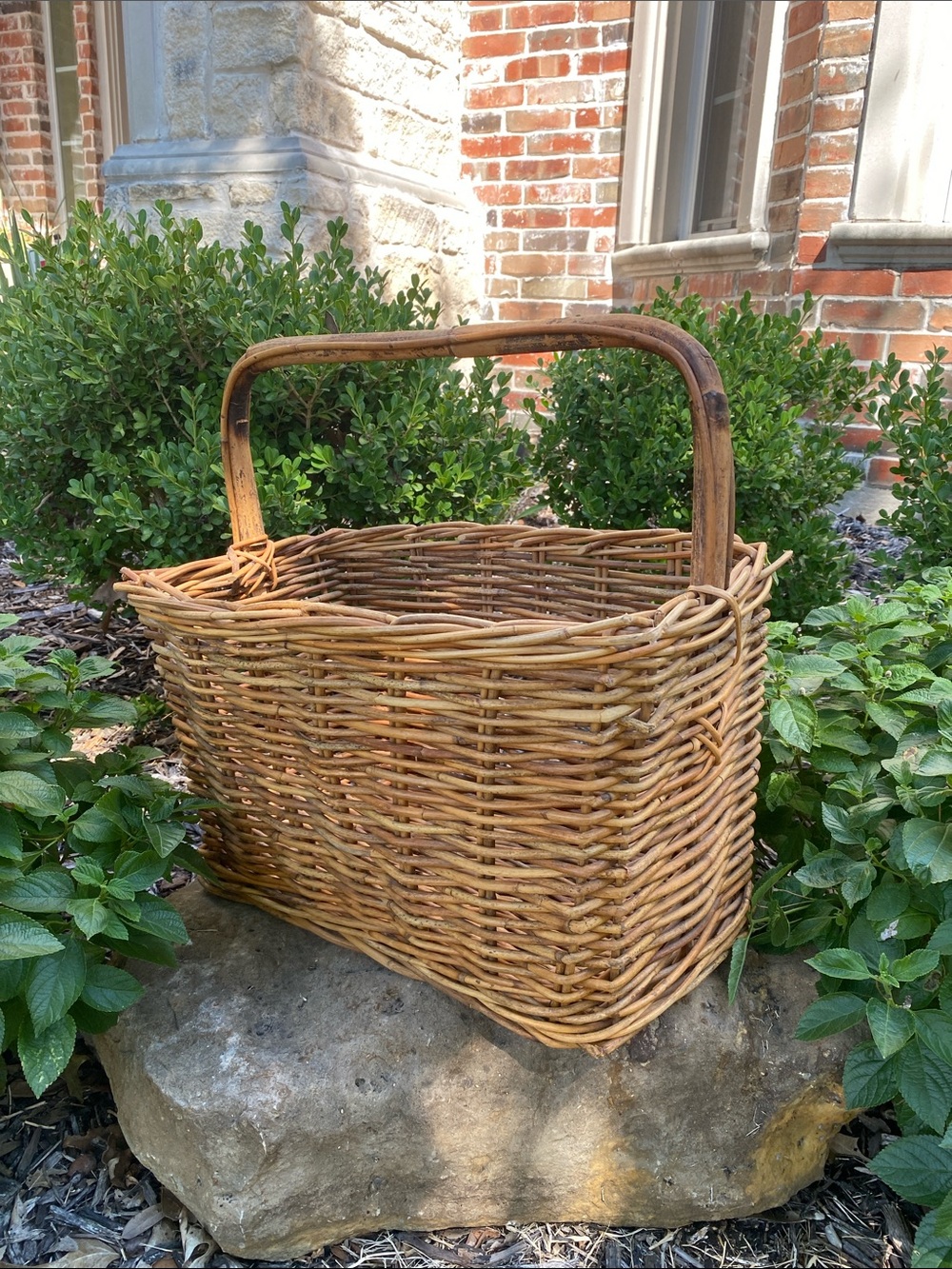 Vintage Woven Rattan Gathering Basket with Bamboo Handle in Natural Brown - Picture 5 of 16
